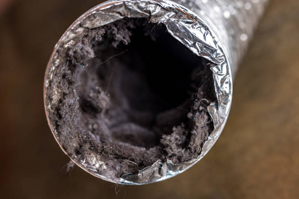 HVAC System Cleaning in Davis Junction, IL