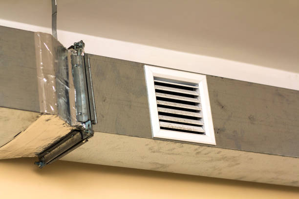 Best Affordable HVAC Duct Cleaning  in Davis Junction, IL