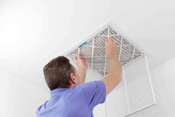 Best Residential Air Duct Cleaning  in Davis Junction, IL
